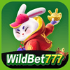 Logo da WILDBET